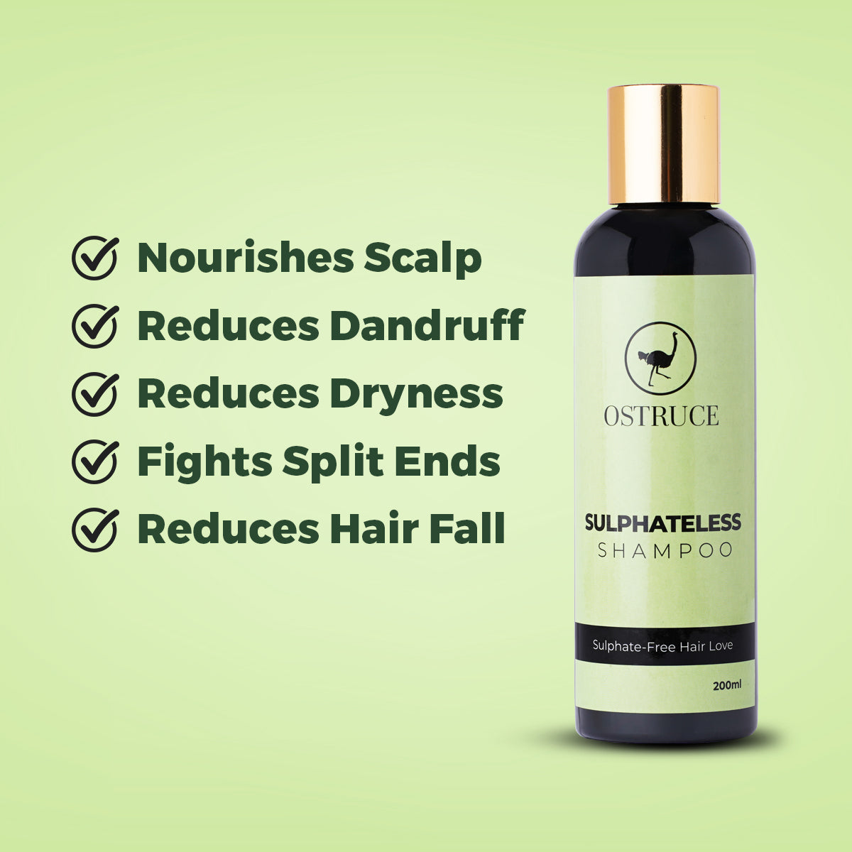 Sulphateless Shampoo